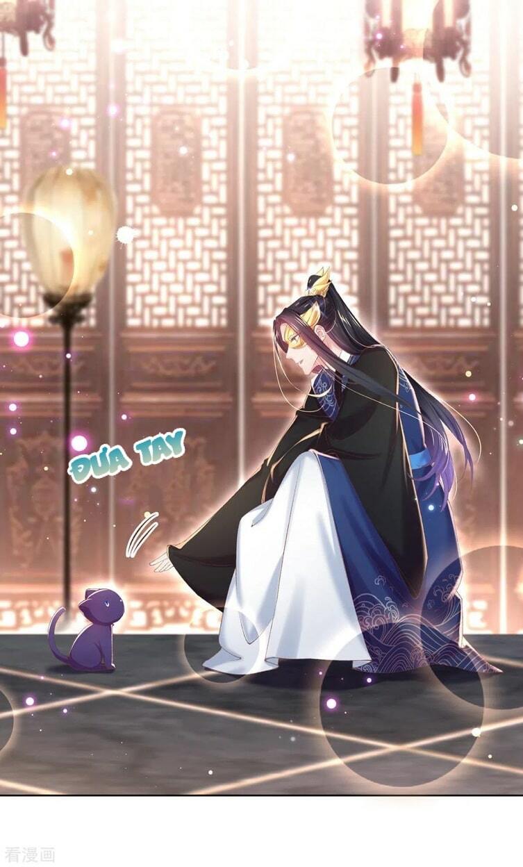 thị huyết y phi chapter 104 16