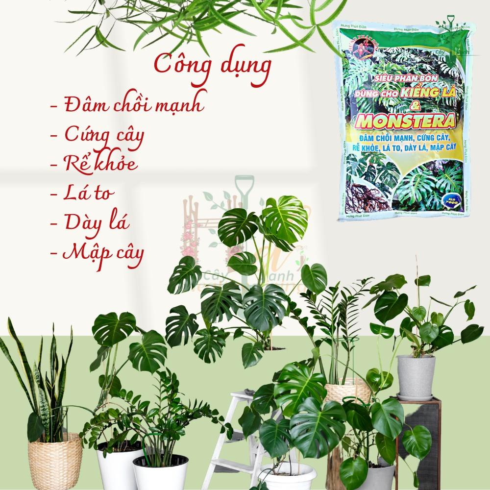 Phân Bón Hữu Cơ Kiểng Lá, Chuyên Dụng Cho Cây Trong Nhà, Monstera, Kiểng Lá. Gói 700gr Đâm Chồi Mạnh, Cứng Cây