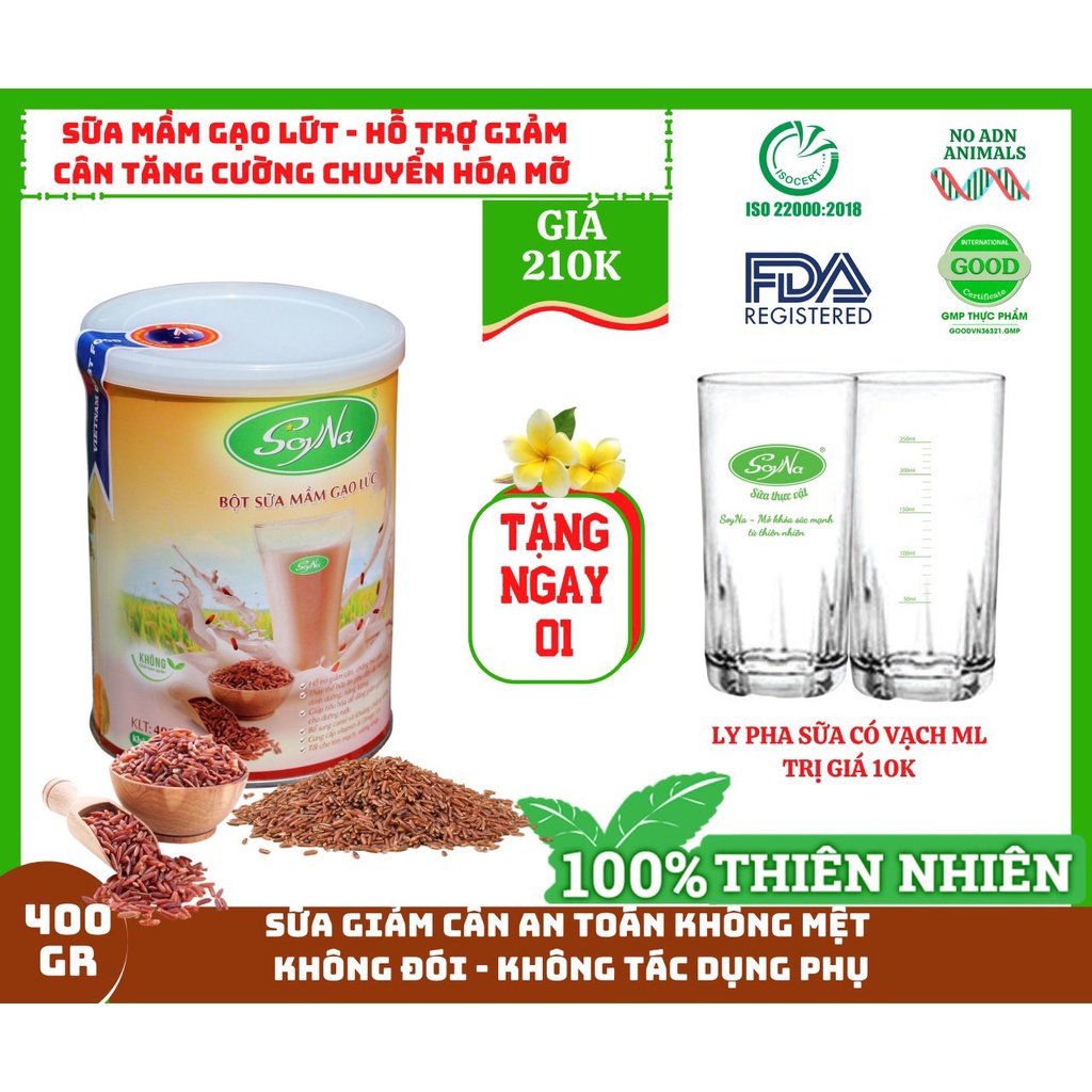 Sữa Mầm Gạo Lứt Soyna 400g - Sữa Bổ Sung Dinh Dưỡng cho Người Giảm Cân, Ăn Kiêng, Ăn Chay, Người Bị Tiểu Đường, Tim Mạch, Mỡ Máu, Xương Khớp, Người Tập Gym Và Yoga, Thay Thế Bữa Ăn - Tặng 1 Ly Thủy Tinh Pha Sữa Có Vạch Chia ML