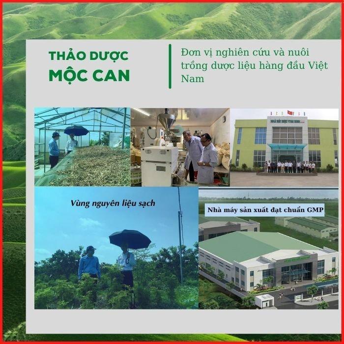 Trà dây thìa canh tiểu đường Mộc Can giúp giảm đường huyết ngăn ngừa những biến chứng của bênh tiểu đường hộp 25 túi lọc