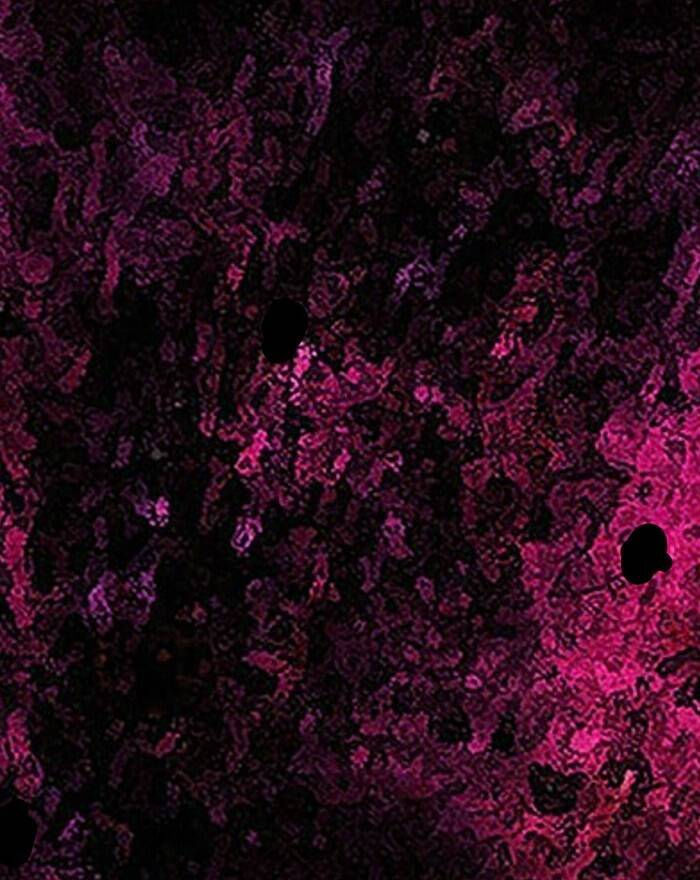 change (jinyuan) ss2 chapter 50 67