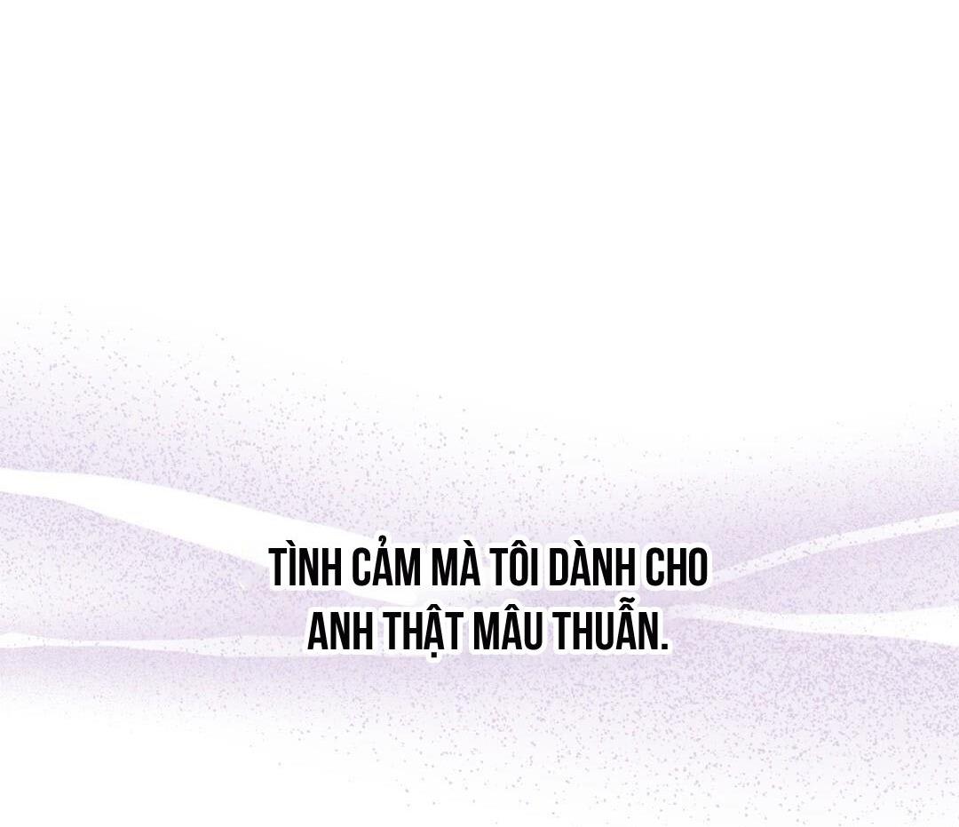 macguffin chapter 28 43