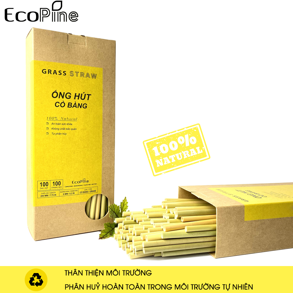 Hộp 100 Ống Hút Cỏ Bàng Ecopine Dài 20 cm - Dùng Được Cho Tất Cả Các Loại Thức Uống