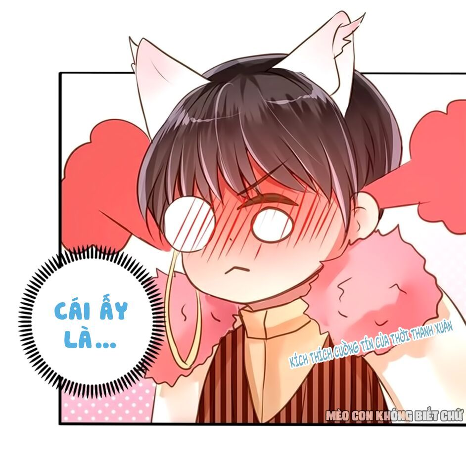 không có ssr làm sao để yêu chapter 15 20