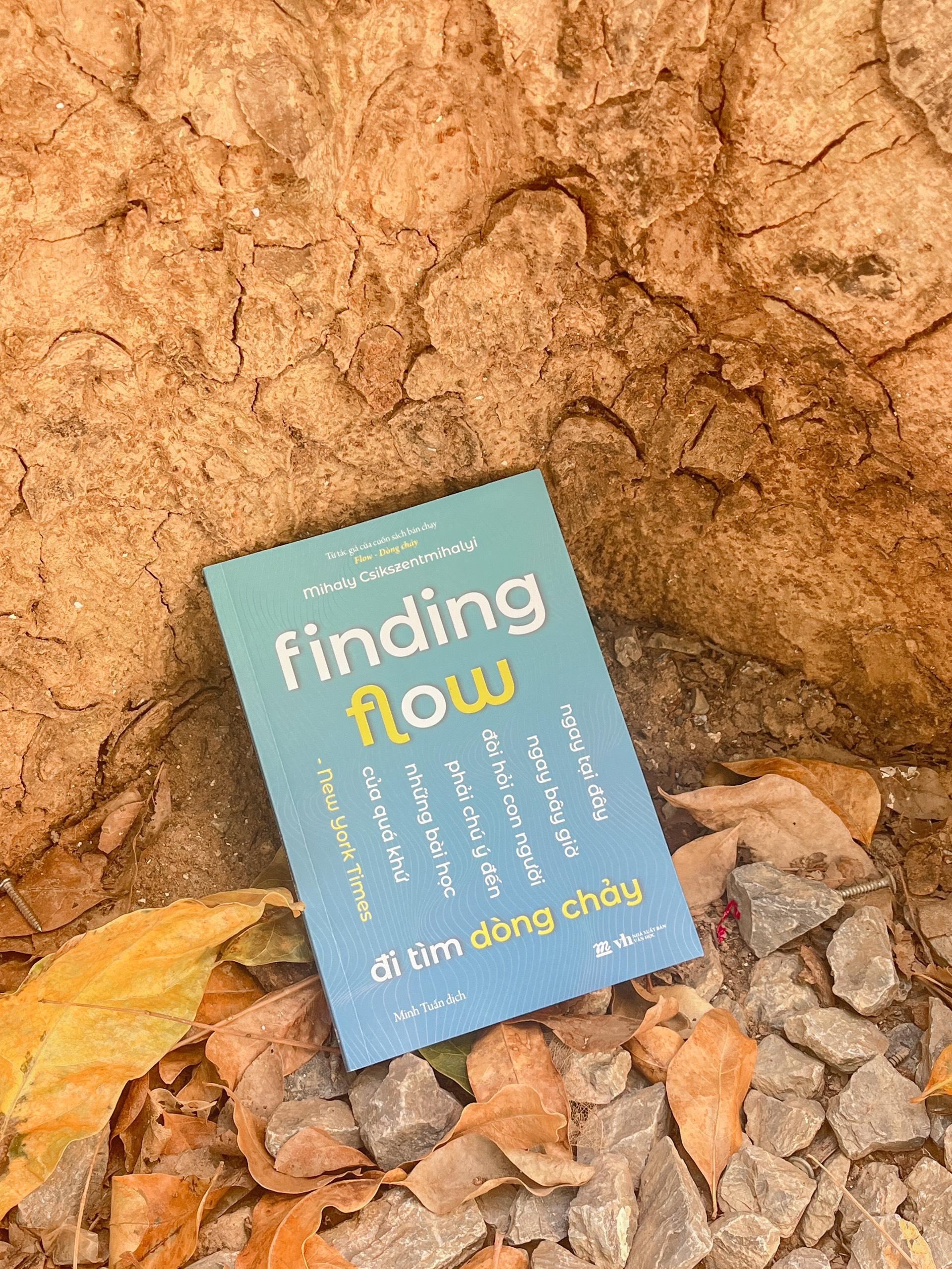 Finding Flow - Đi Tìm Dòng Chảy