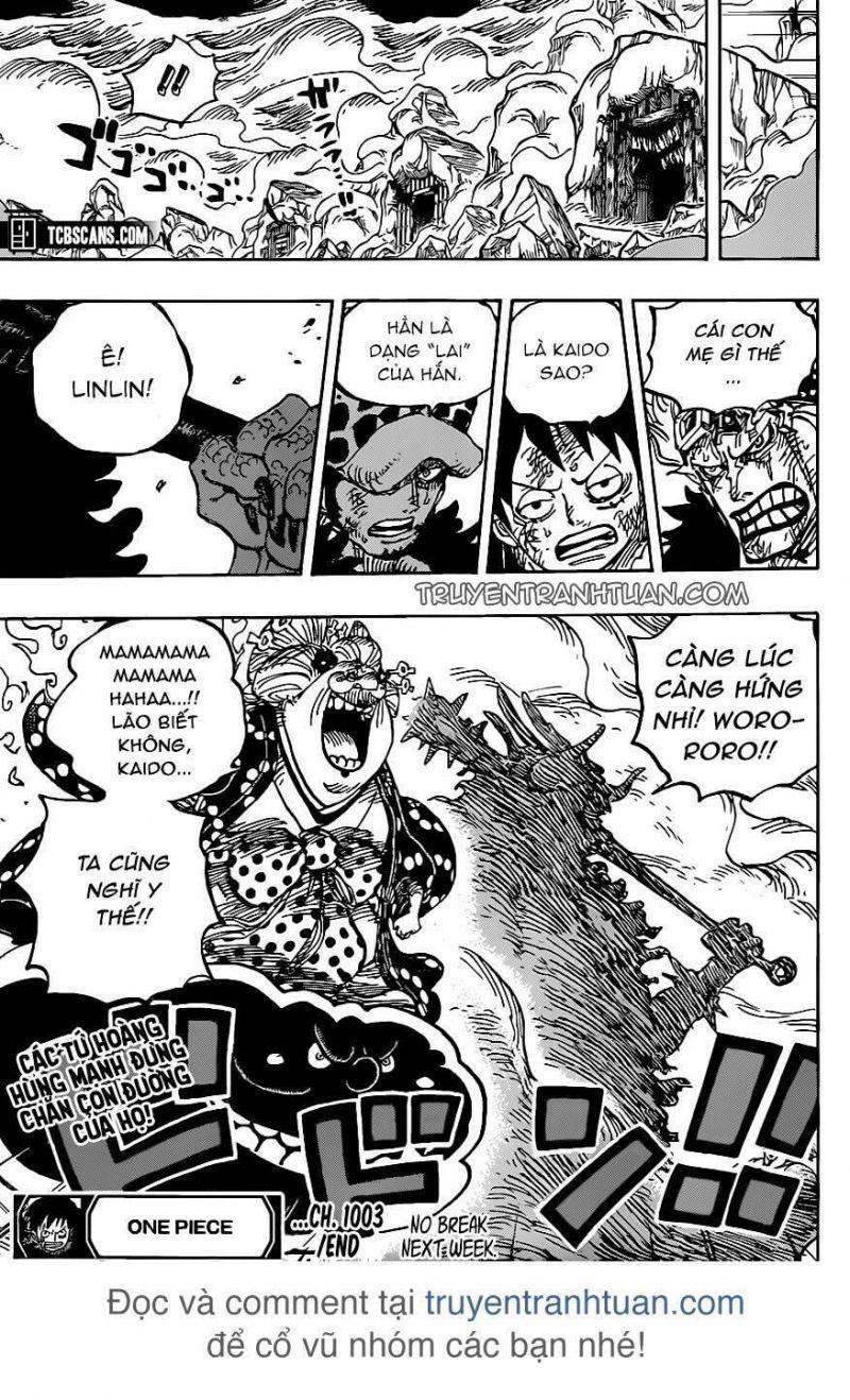 đảo hải tặc - one piece chapter 1003 13