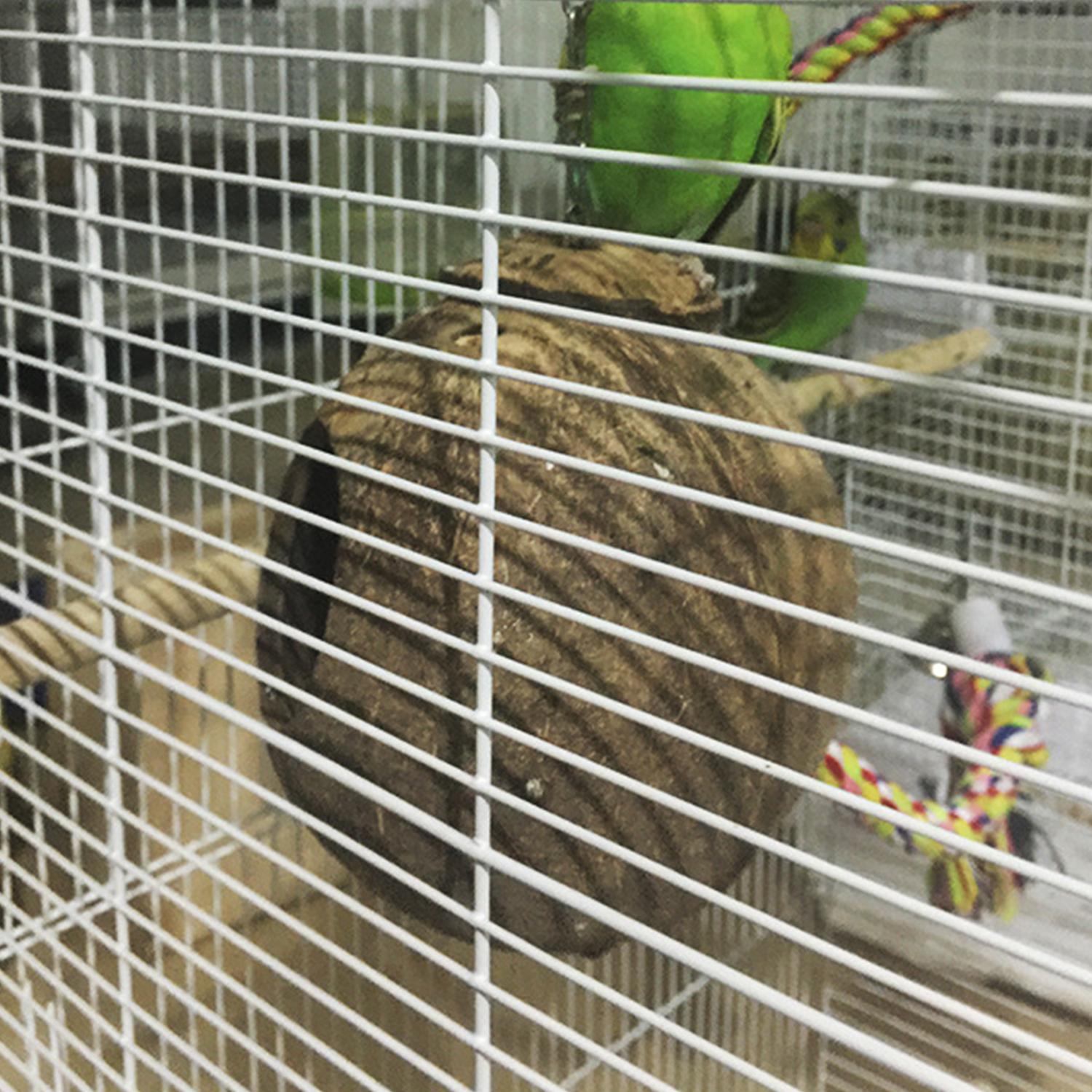 Lồng Chim Dạng Quả Dừa Có Móc Treo