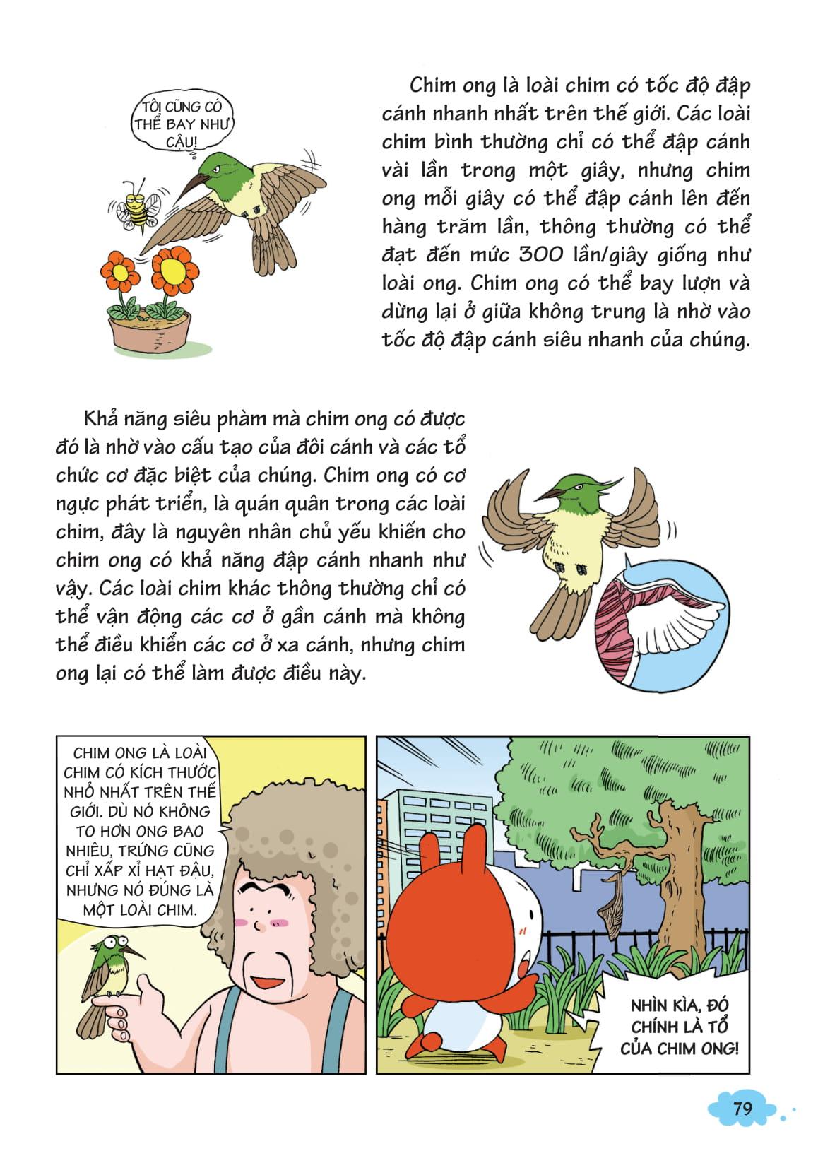 Sách 10 Vạn Câu Hỏi Vì Sao - Khám Phá Thế Giới Động Vật - Bay Trên Bầu Trời 1 (Tái Bản 2018)