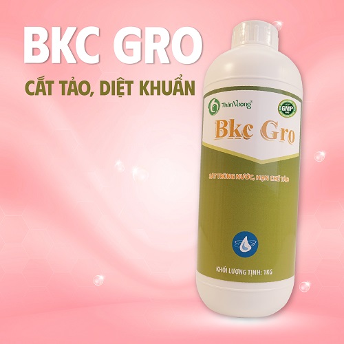 Sát trùng nước ao tôm cá BKC GRO