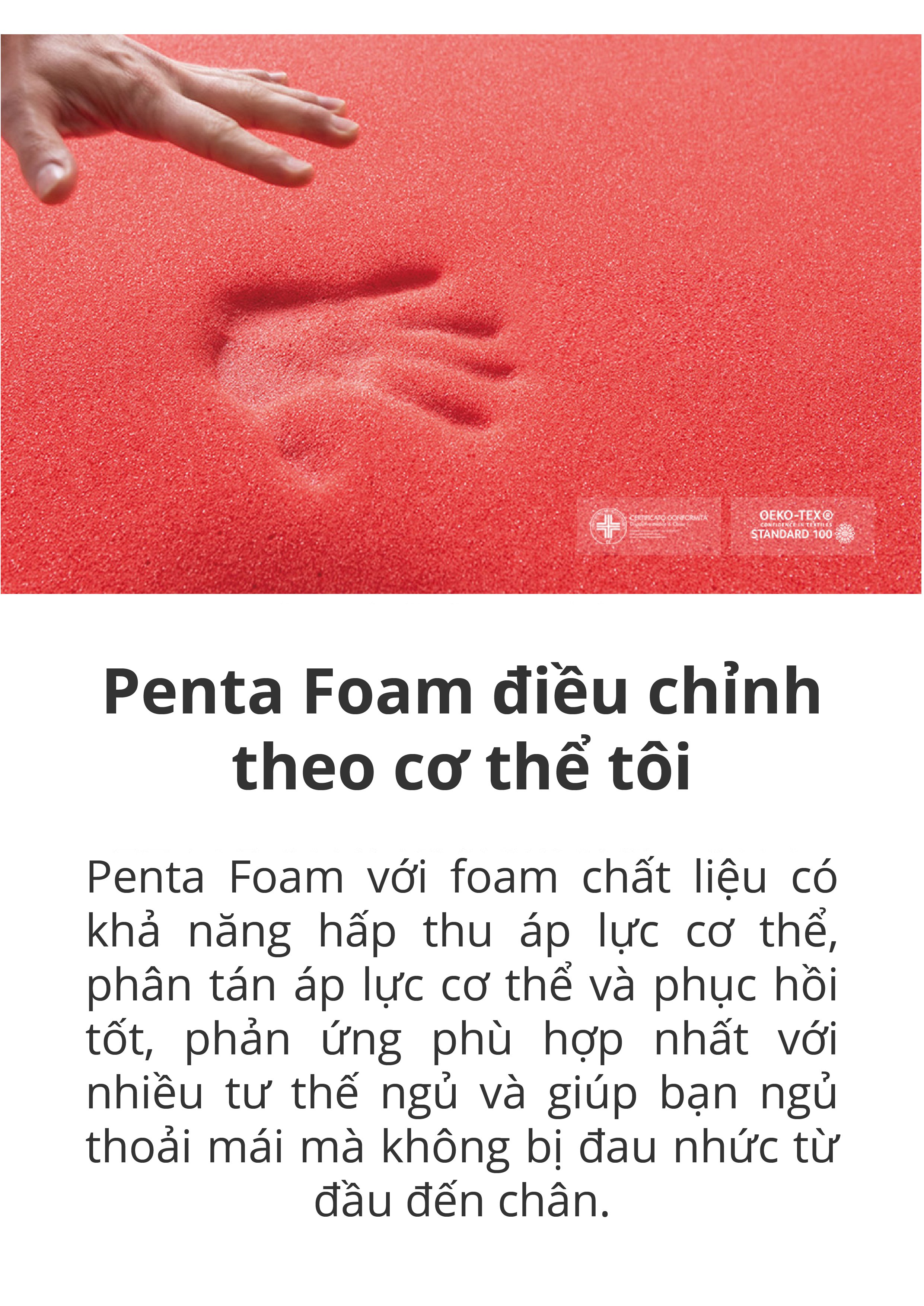 NỆM LÒ XO BEDIS BELUGA