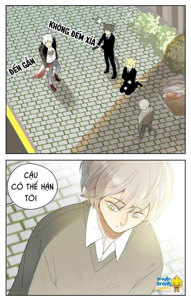 cứu mạng ! loài mèo thống trị thế giới rồi ! chapter 28 10