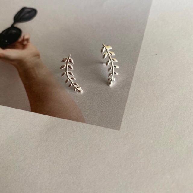 Khuyên tai cành lá oliu ôm vành tai bạc ta