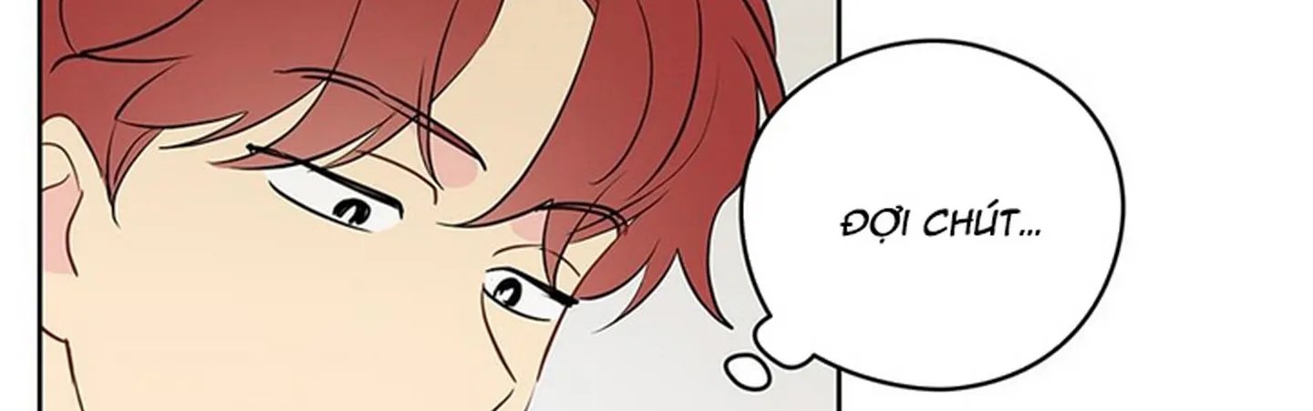 chuyện quái gì với giấc mơ đó vậy chapter 19 263