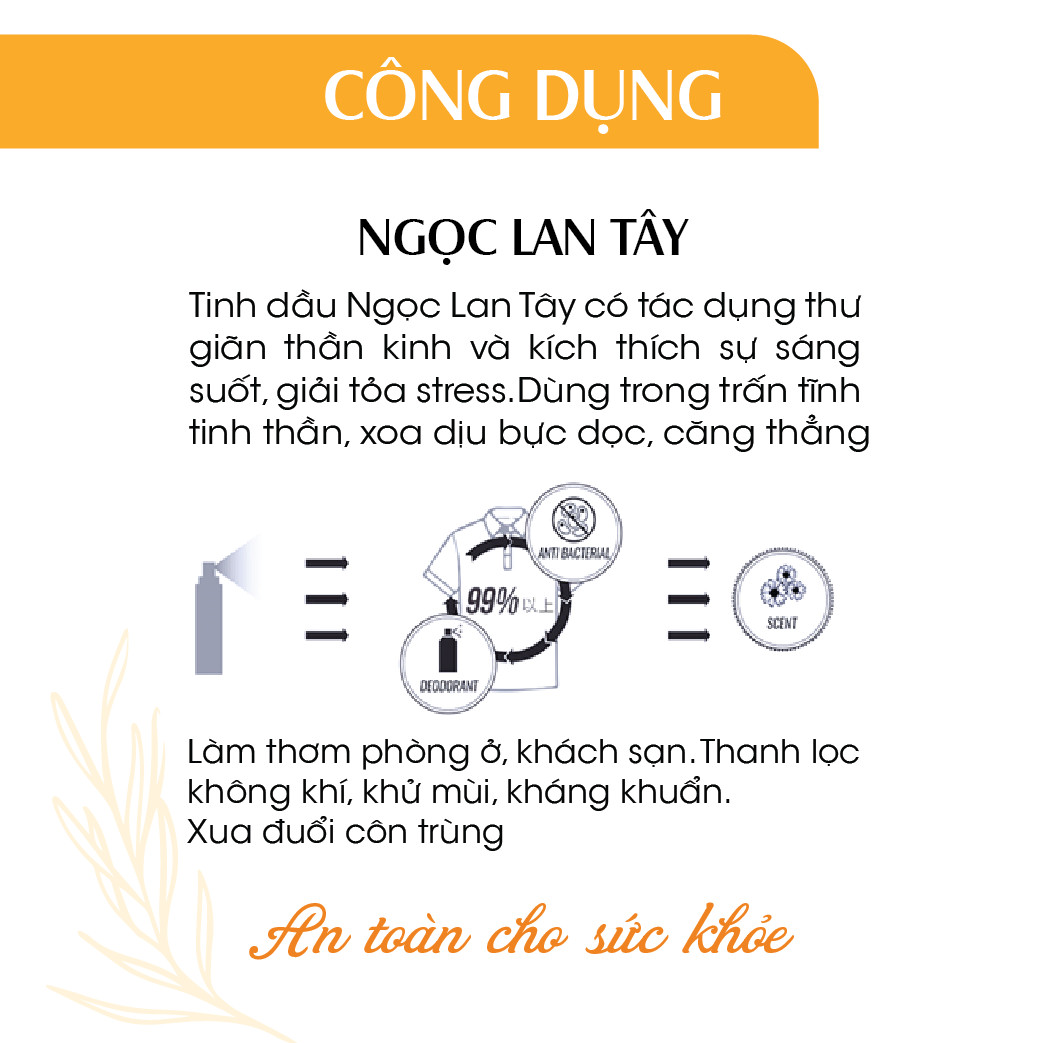 Xịt Phòng Tinh Dầu Ngọc Lan Tây Hữu Cơ Organic 24Care 50ML/100ML - Kháng khuẩn - Khử mùi hôi - Đuổi muỗi, côn trùng - Tạo không gian lãng mạn, hẹn hò - Hương thơm thư giãn.