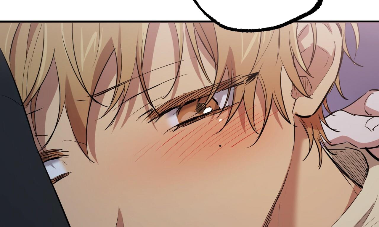 đàn thỏ của habibi chapter 37 262