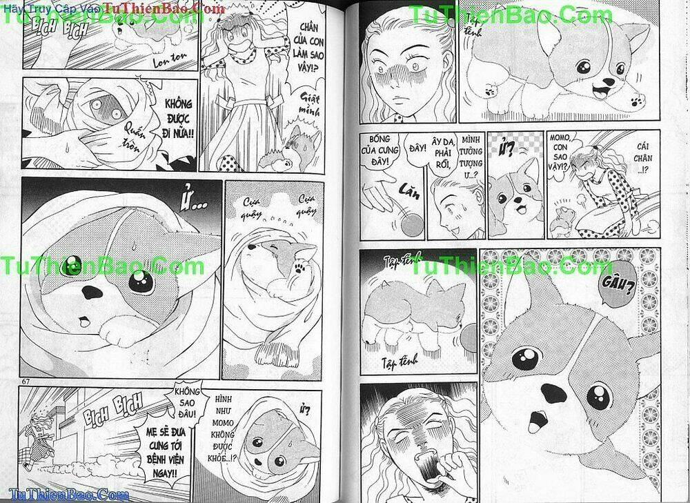 chó con mo mo chapter 1 34