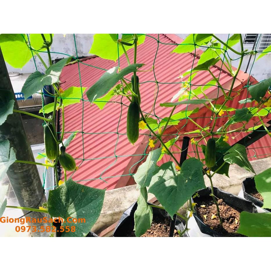 Lưới Leo Giàn Cho Cây Leo Dưa Chuột, Bầu Bí Mướp Đậu… Mắt Lươi 10*10cm Các size