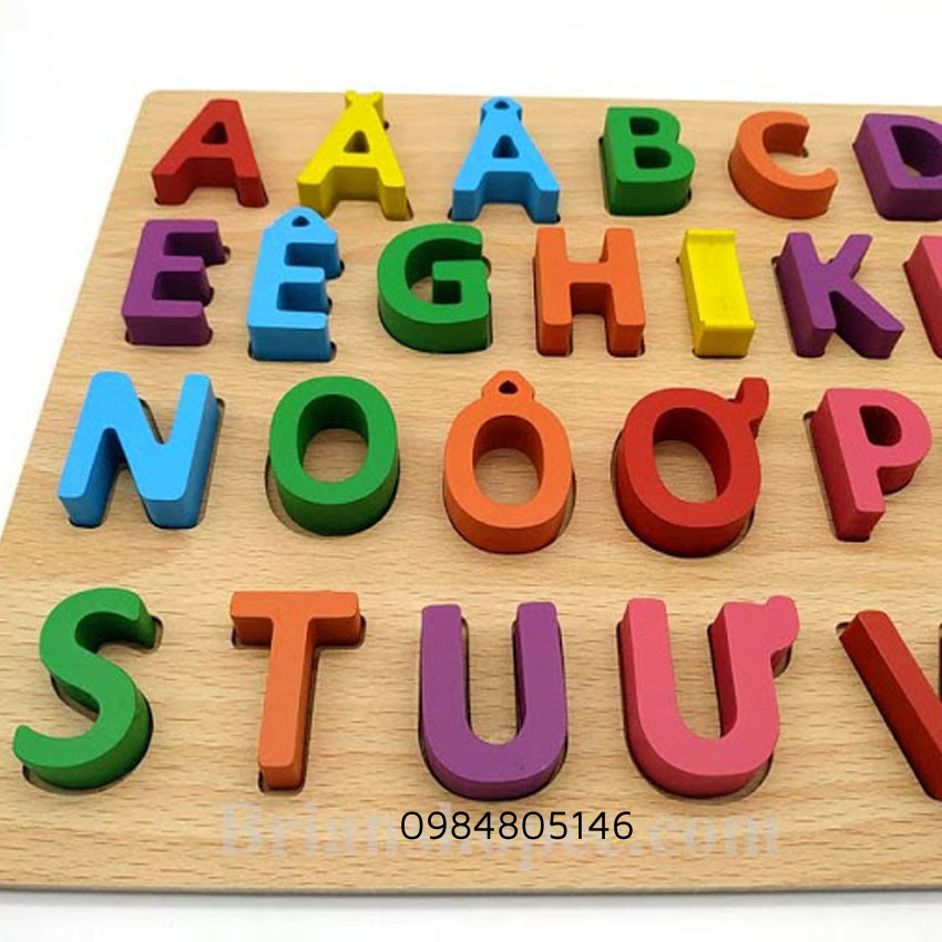 Đồ chơi gỗ bảng nổi học chữ tiếng việt khổ 30x23cm