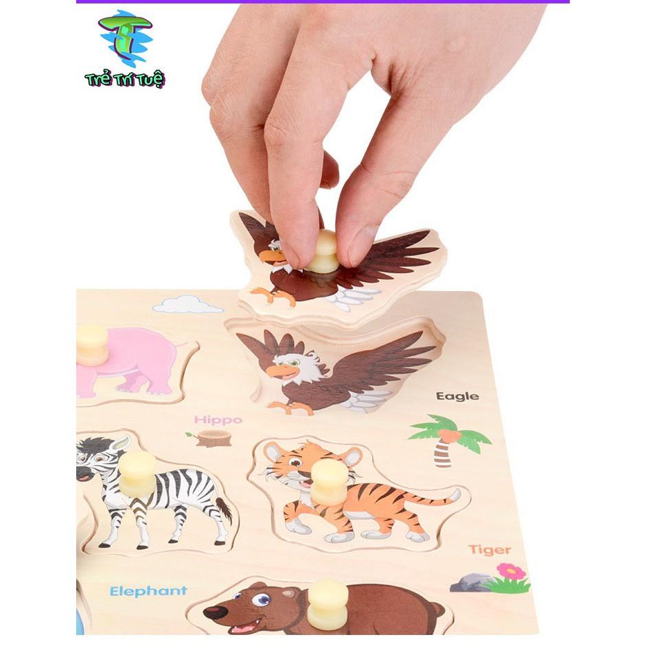 Bảng động vật nắm tay