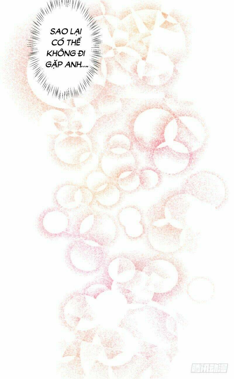 ngạo kiều tổng tài sủng điềm thê chapter 20 34