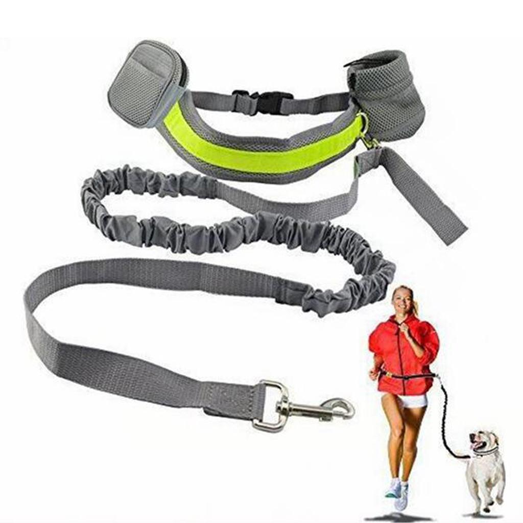 Dog Leash Lead w/ Waist Pouch Handsfree Reflective Buckle Belt Harness