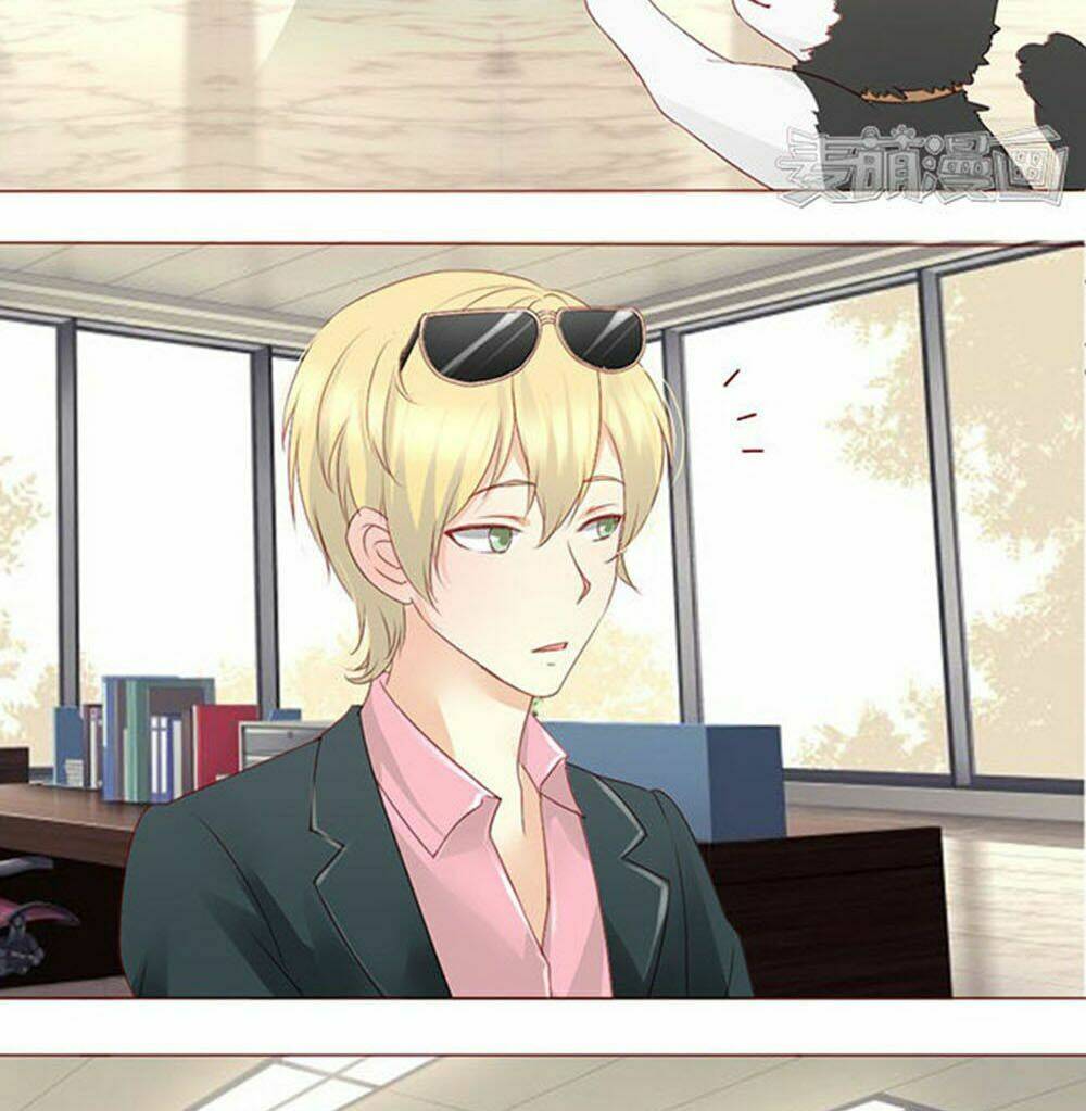 tổng tài bá đạo là gay chapter 6 14