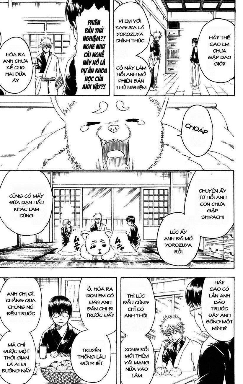 gintama - linh hồn bạc chapter 195 5