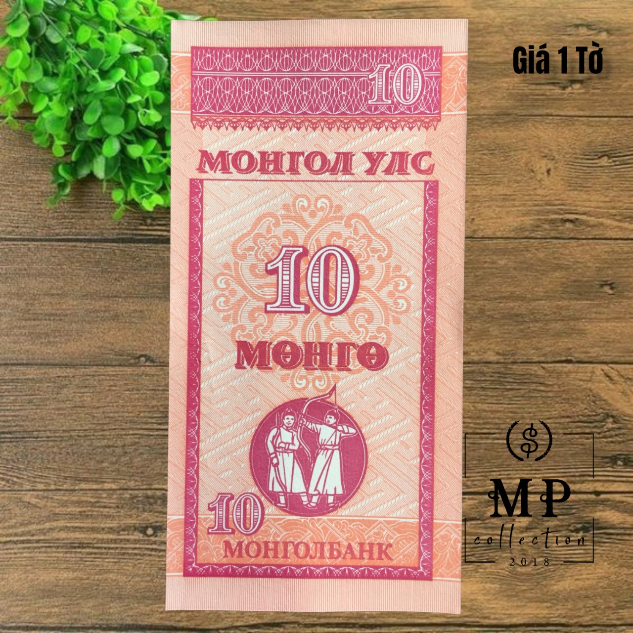 Tờ tiền đứng độc đáo Mông Cổ 10 Mongo, mệnh giá nhỏ và kích thước siêu nhỏ 45x90mm