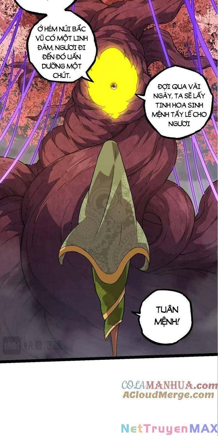 chuyển sinh thành liễu đột biến chapter 90 10