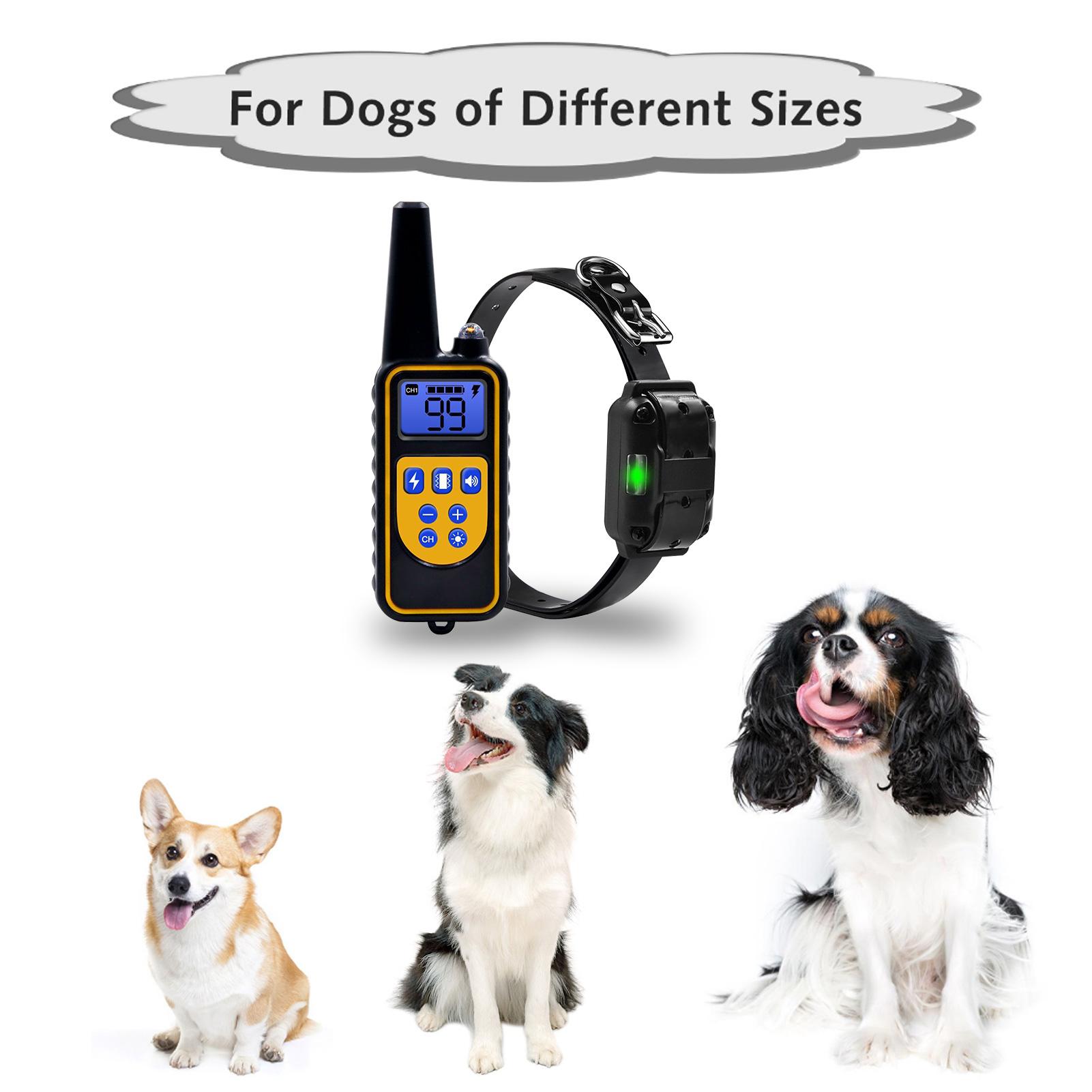 Vòng cổ huấn luyện chó với 4 chế độ huấn luyện,Có sẵn rung động cấp độ 1-99 và sốc điện,Tích hợp pin sạc và đi kèm cáp USB,ật liệu ABS bền, tuổi thọ cao.