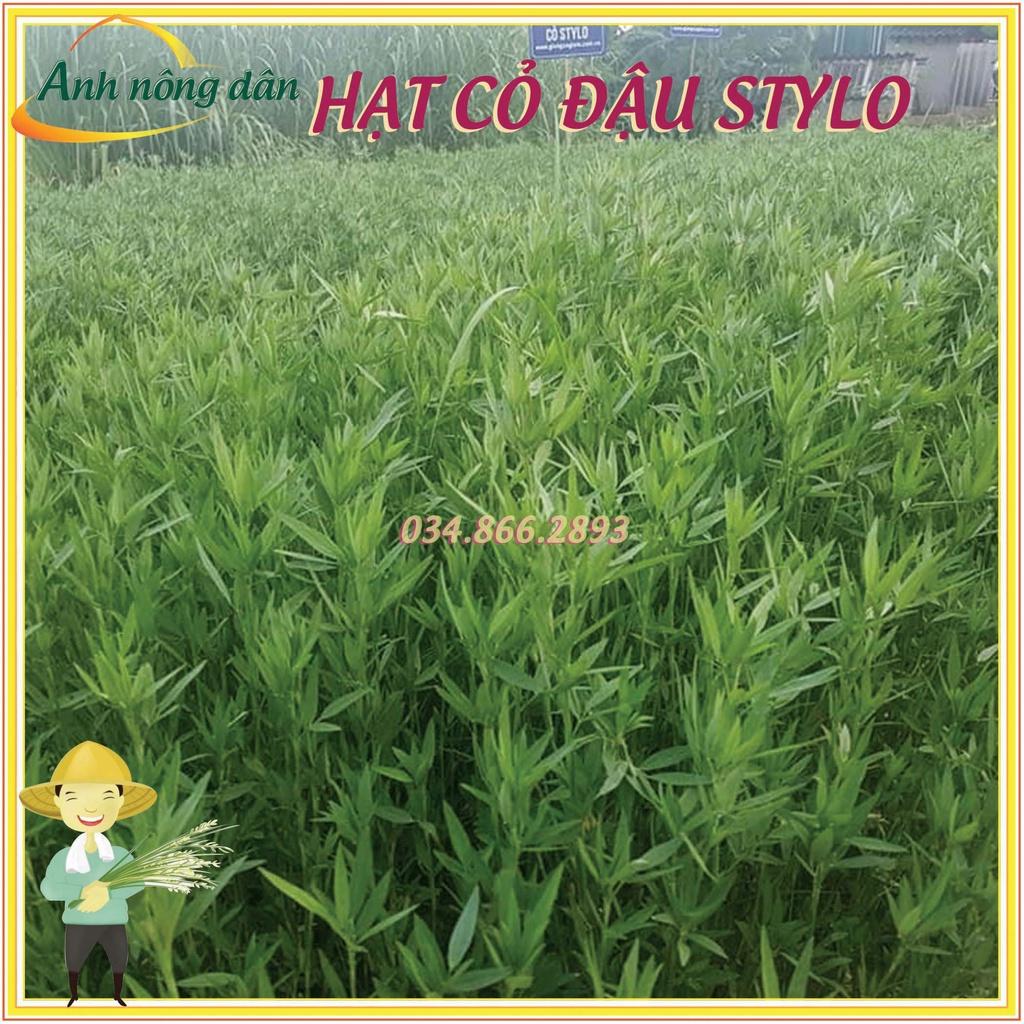 Gói 1kg Hạt giống cỏ đậu stylo giàu dinh dưỡng dùng cho chăn nuôi - Anh nông dân chính hiệu