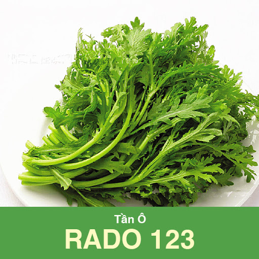 Combo 3 Gói Hạt Giống Rau Muống Lá Tre, Rau Tần Ô và Cà Chua Chịu Nhiệt Rạng Đông