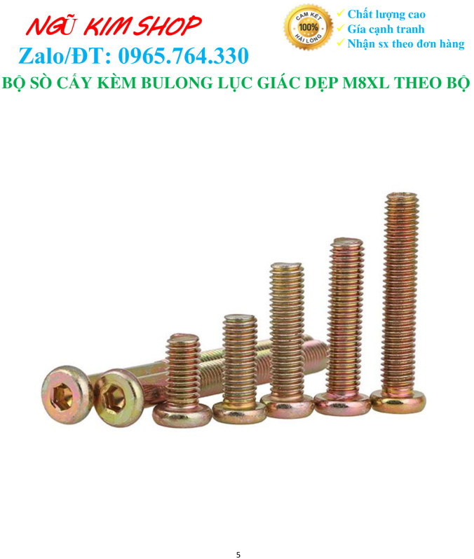 SÒ CẤY KÈM BULONG LỤC GIÁC DẸP M8 x L THEO BỘ