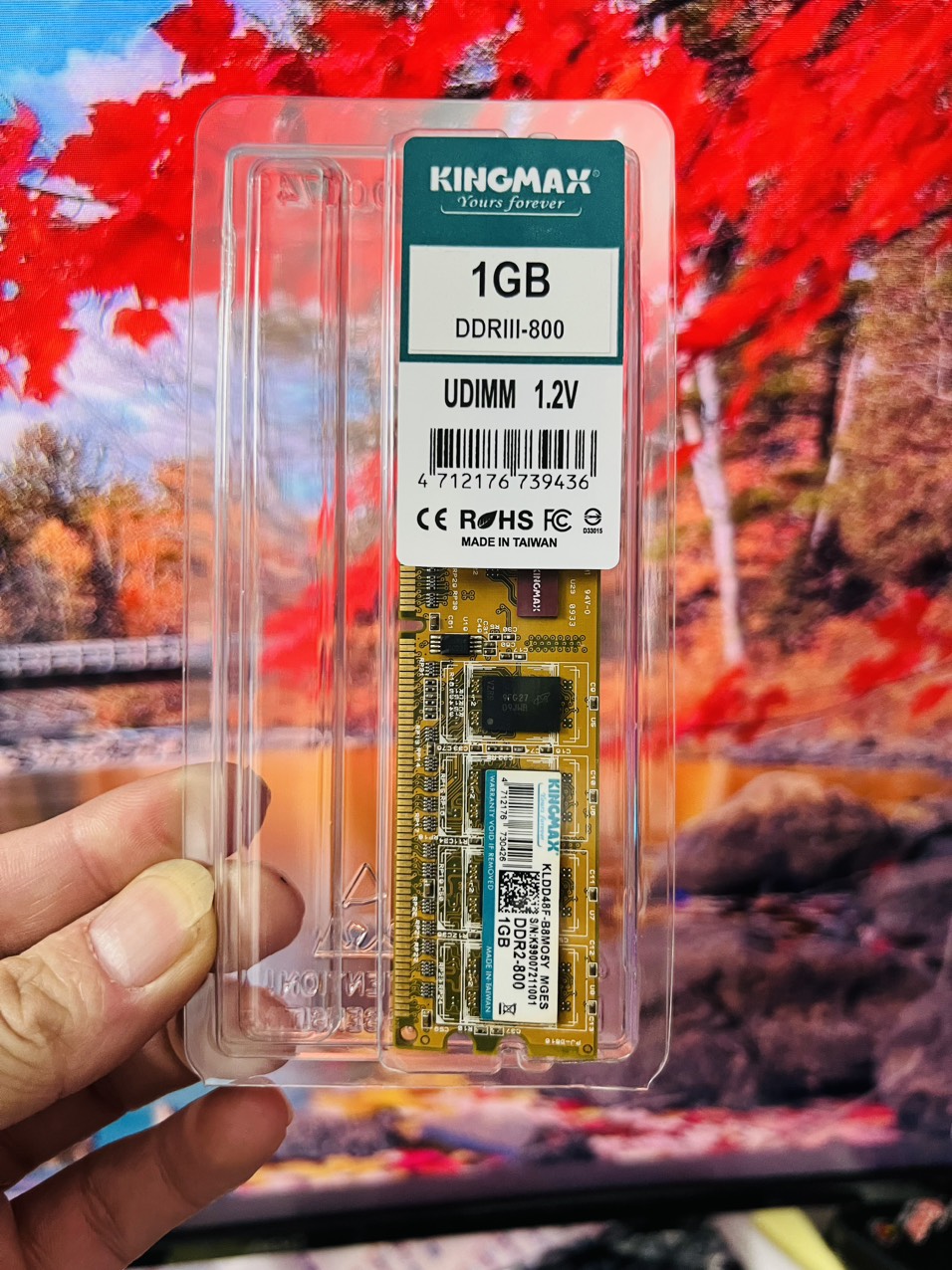 RAM PC 1GB DDR2 - BUS 800 KINGMAX - HÀNG CHÍNH HÃNG