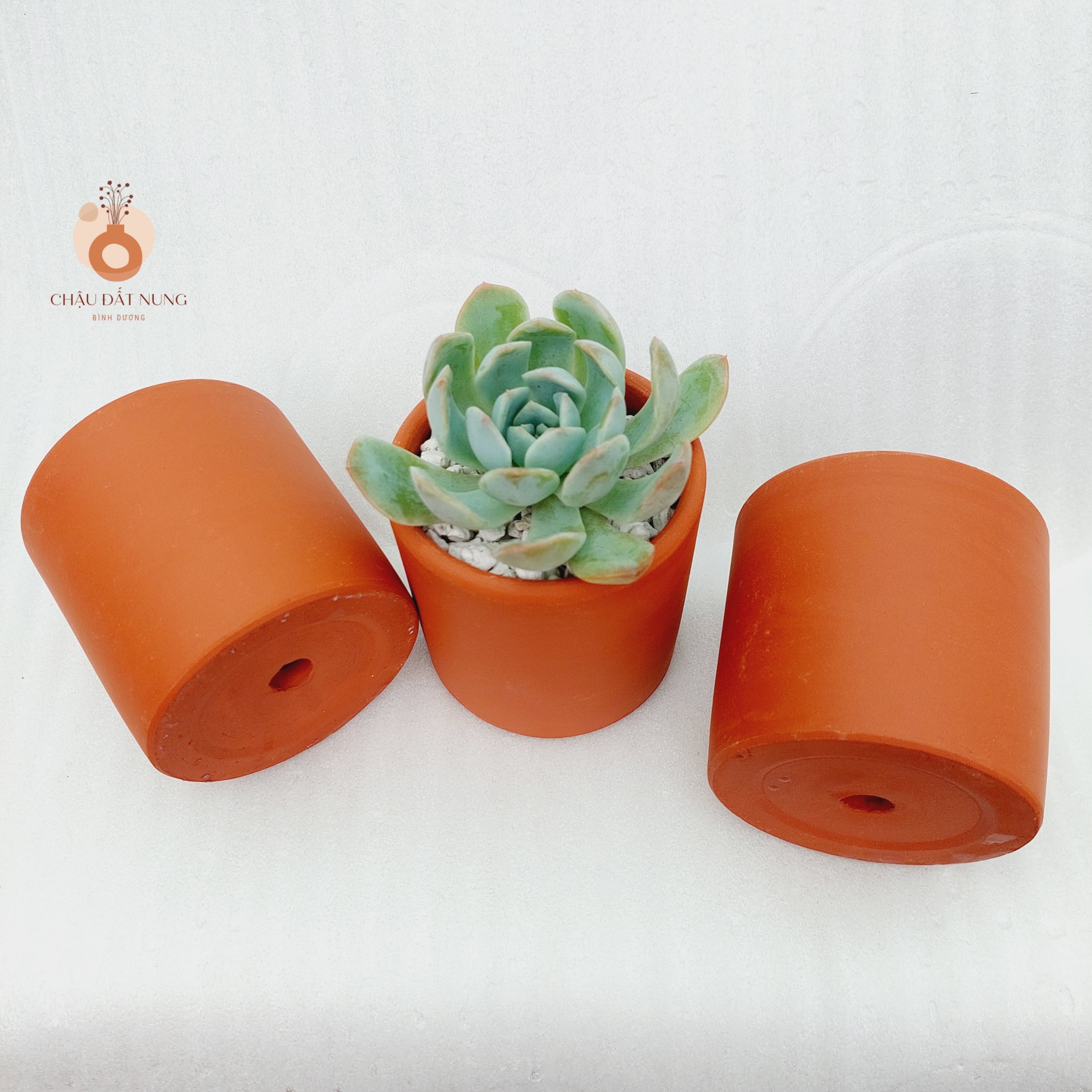 Chậu đất nung Bình Dương - Trụ 75, miệng chậu 7.5cm, chiều cao 7.5cm