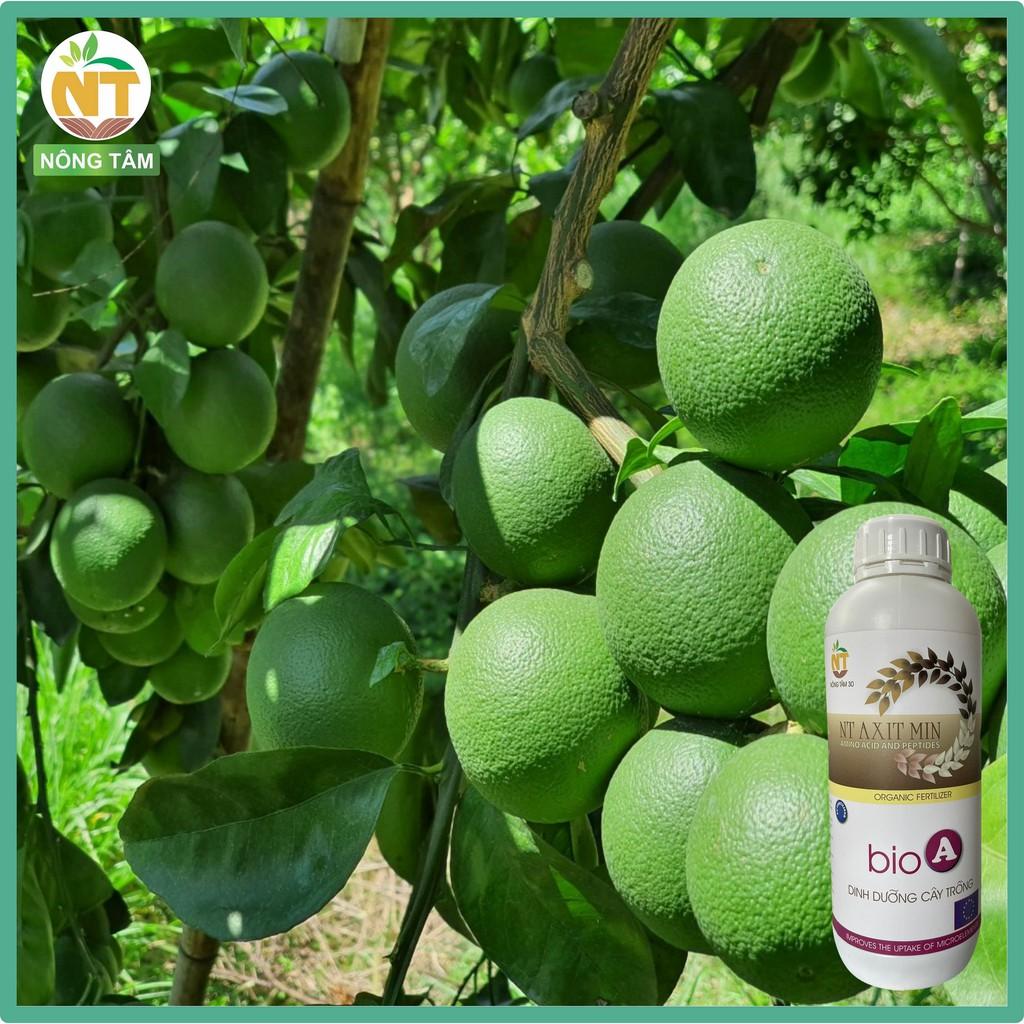 Phân bón lá đạm Axit Amin bổ sung dinh dưỡng cho rau màu, hoa cảnh, cây ăn quả, chai 1000ml