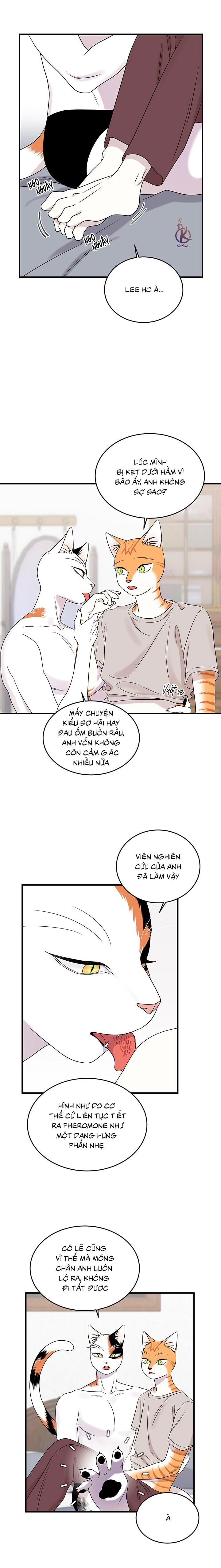 dự án xanh chapter 48 2