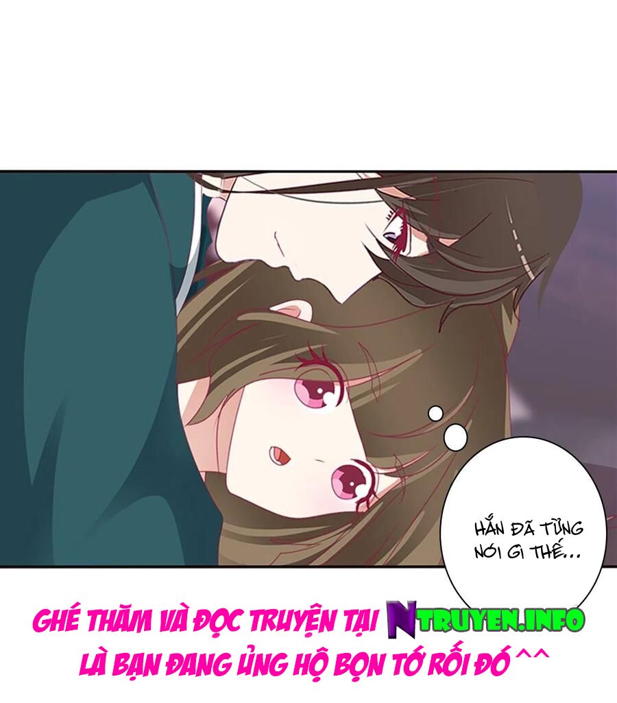 thông linh phi chapter 645 13