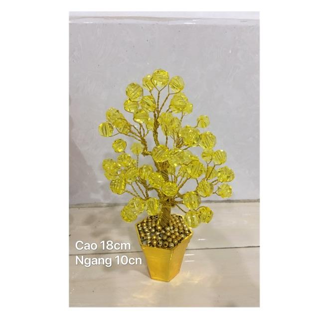 Chậu hoa để thân tài cao 18cm