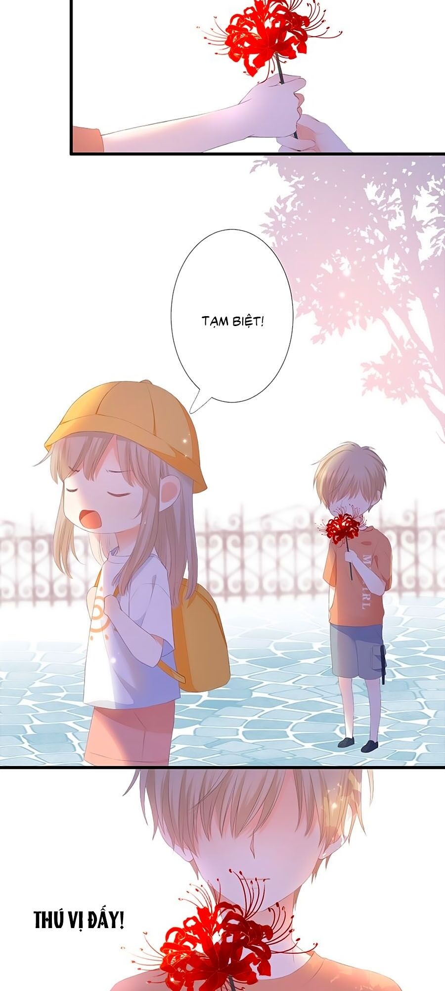 hoa chưa nở rộ chapter 39.6 23