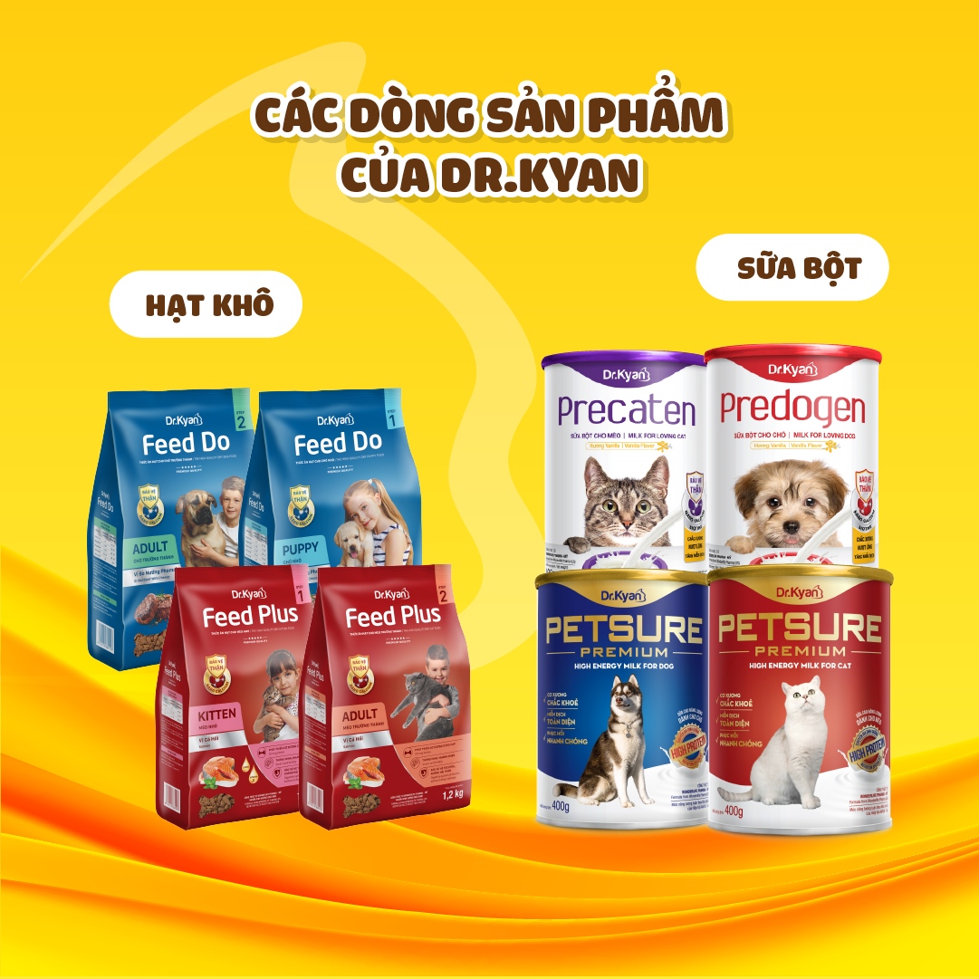 Dr.Kyan - Thức ăn hạt cho mèo nhỏ Feed Plus - Kitten 400g - Vị cá hồi