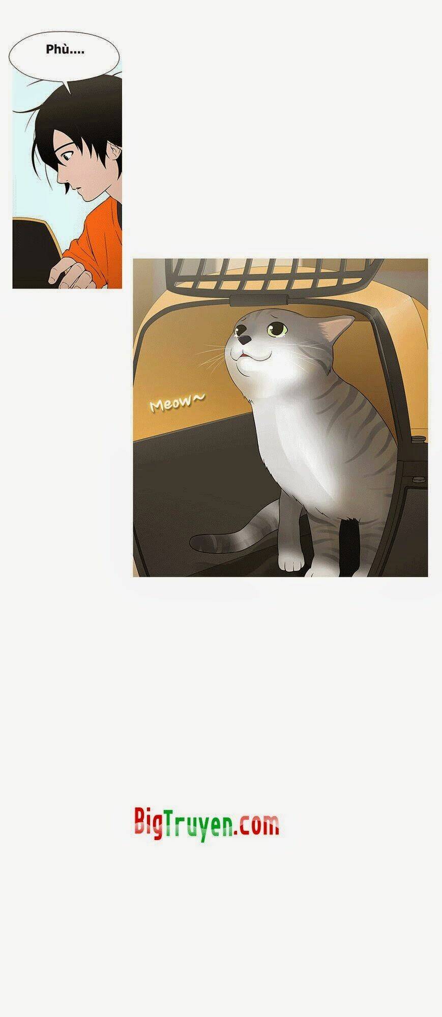 trái tim của một người bạn chapter 11 19