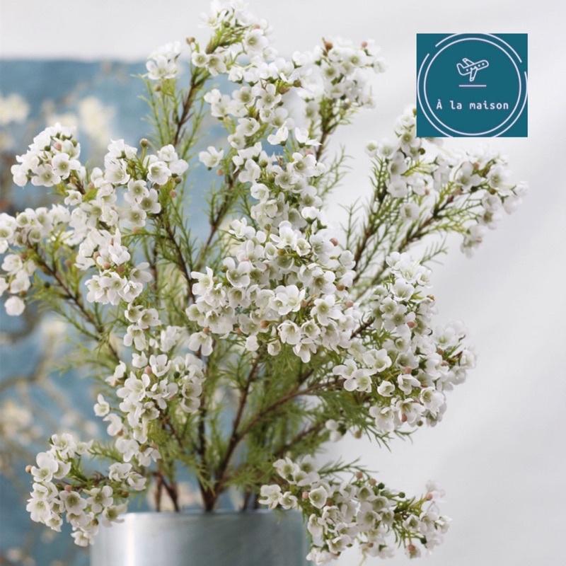Cành hoa thanh liễu 3 nhánh nhiều bông nhỏ xinh xắn cao 83cm giống thật đến 99%