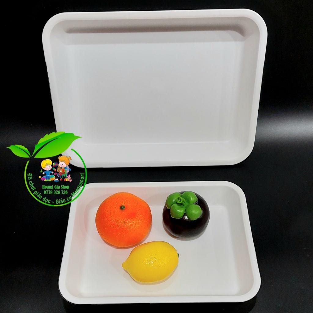 Khay nhựa chữ nhật sâu lòng 24.5x17.5x4cm