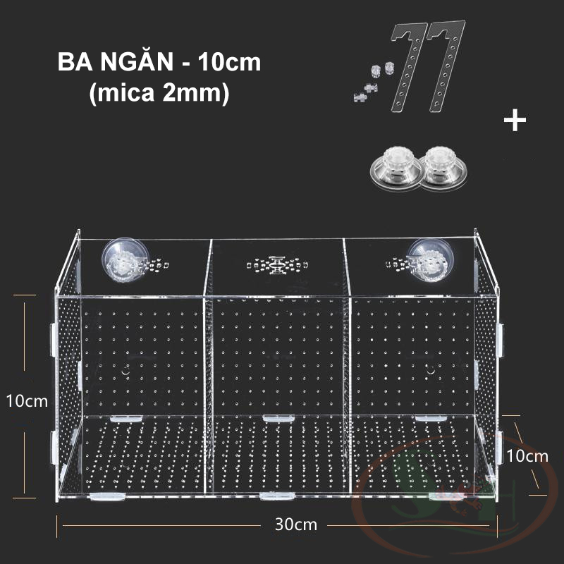 Box mica hít treo đa năng lồng tách dưỡng cây cá tép