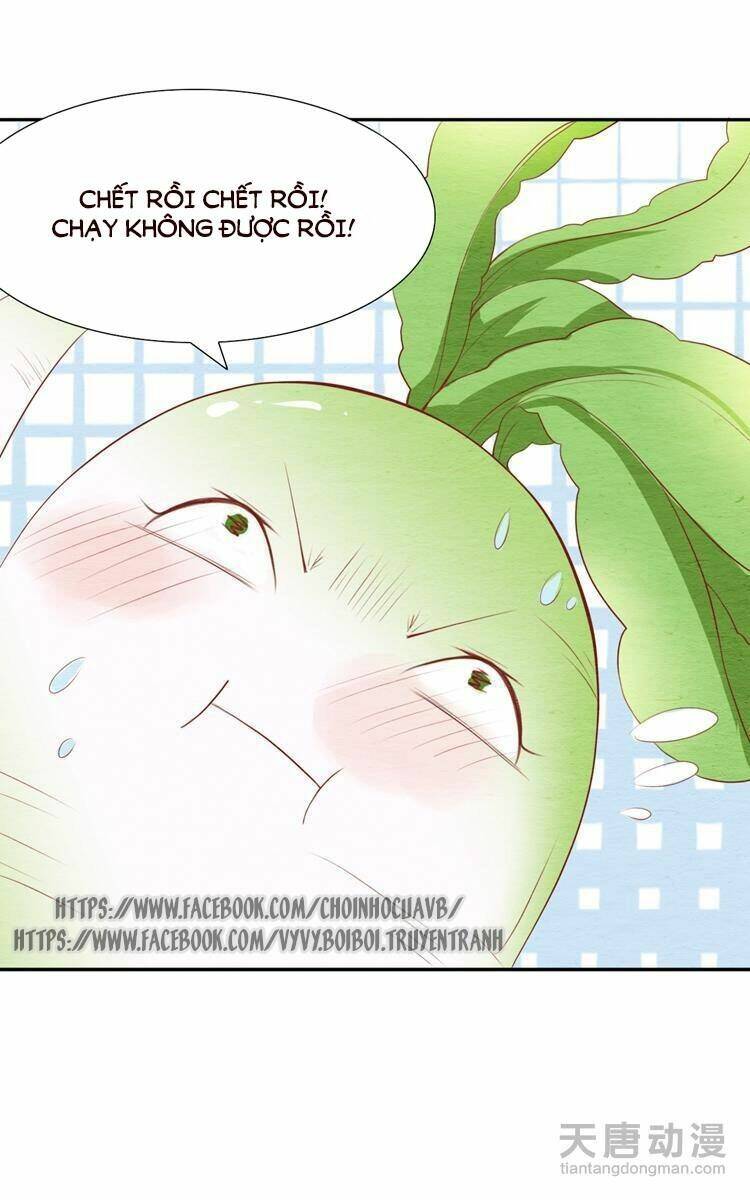 nhân hoa duyên chi sư phụ đại nhân cầu sủng ái chapter 4 29