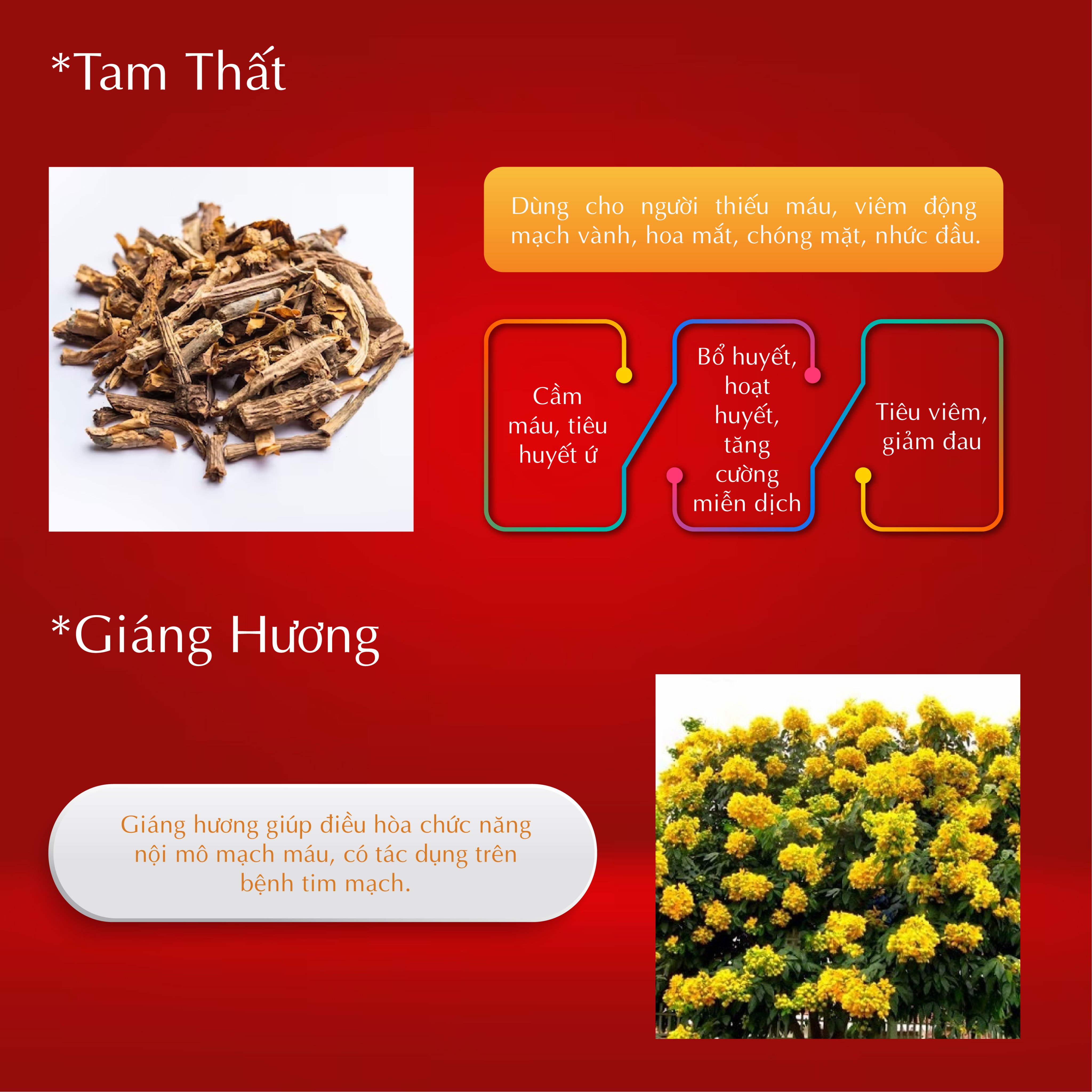 Viên Uống Bổ Tim Mạch Nhật Bản - Viên Cứu Tâm Kyushin Salvinax 90 Viên - Thực phẩm chức năng hỗ trợ bệnh tim mạch, bổ tim, tăng cường tuần hoàn máu