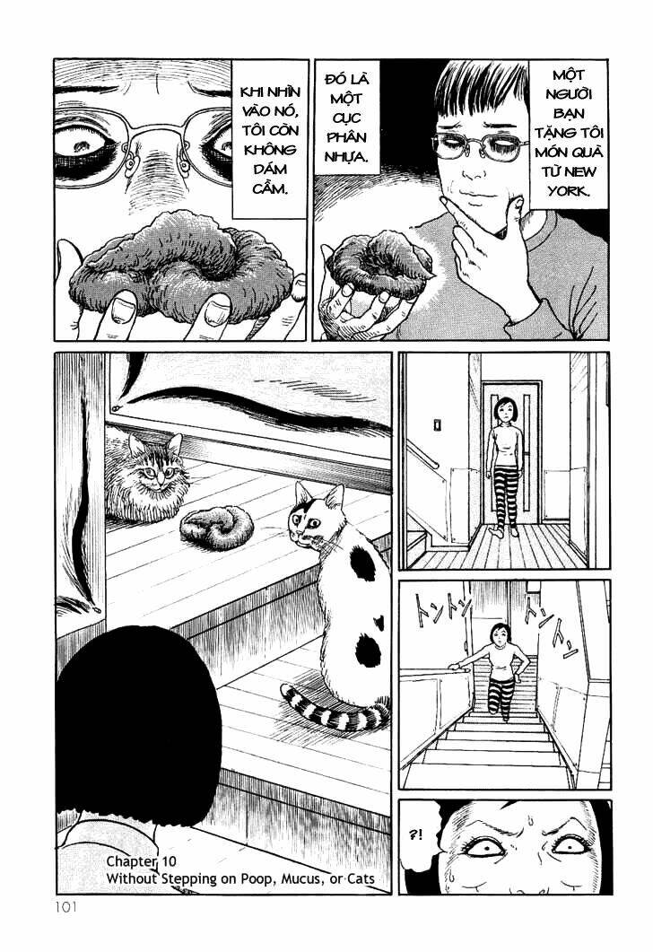 ito junji cat's diary chapter 10 1