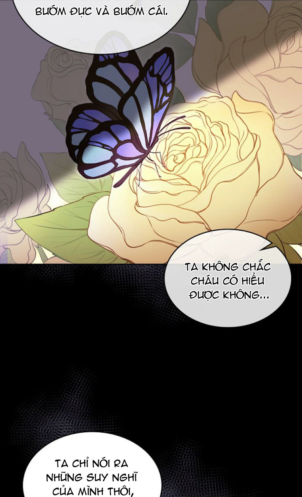 tìm lại nàng camellia chapter 11 9