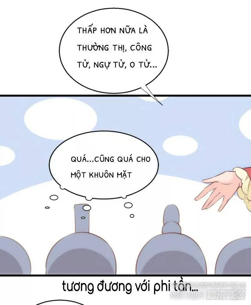 bẩm báo công chúa ! chapter 26 31